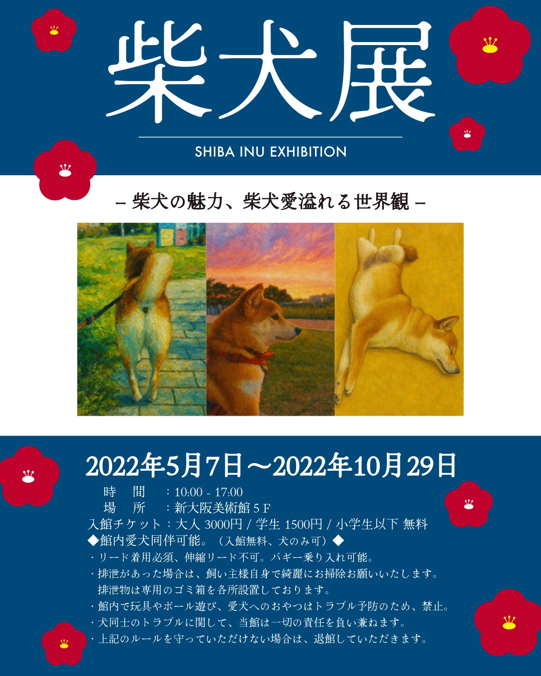 柴犬展２